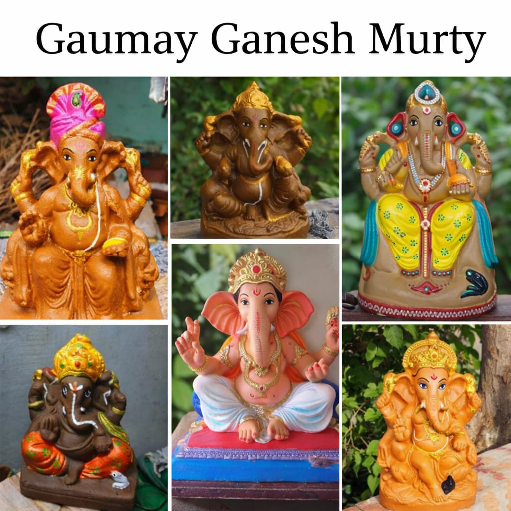 Healthy Nut and Dried Fruit Combo Pack